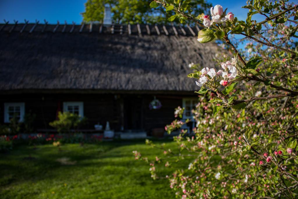 Kuusetuka Tourism Farm Villa Pahkla ภายนอก รูปภาพ